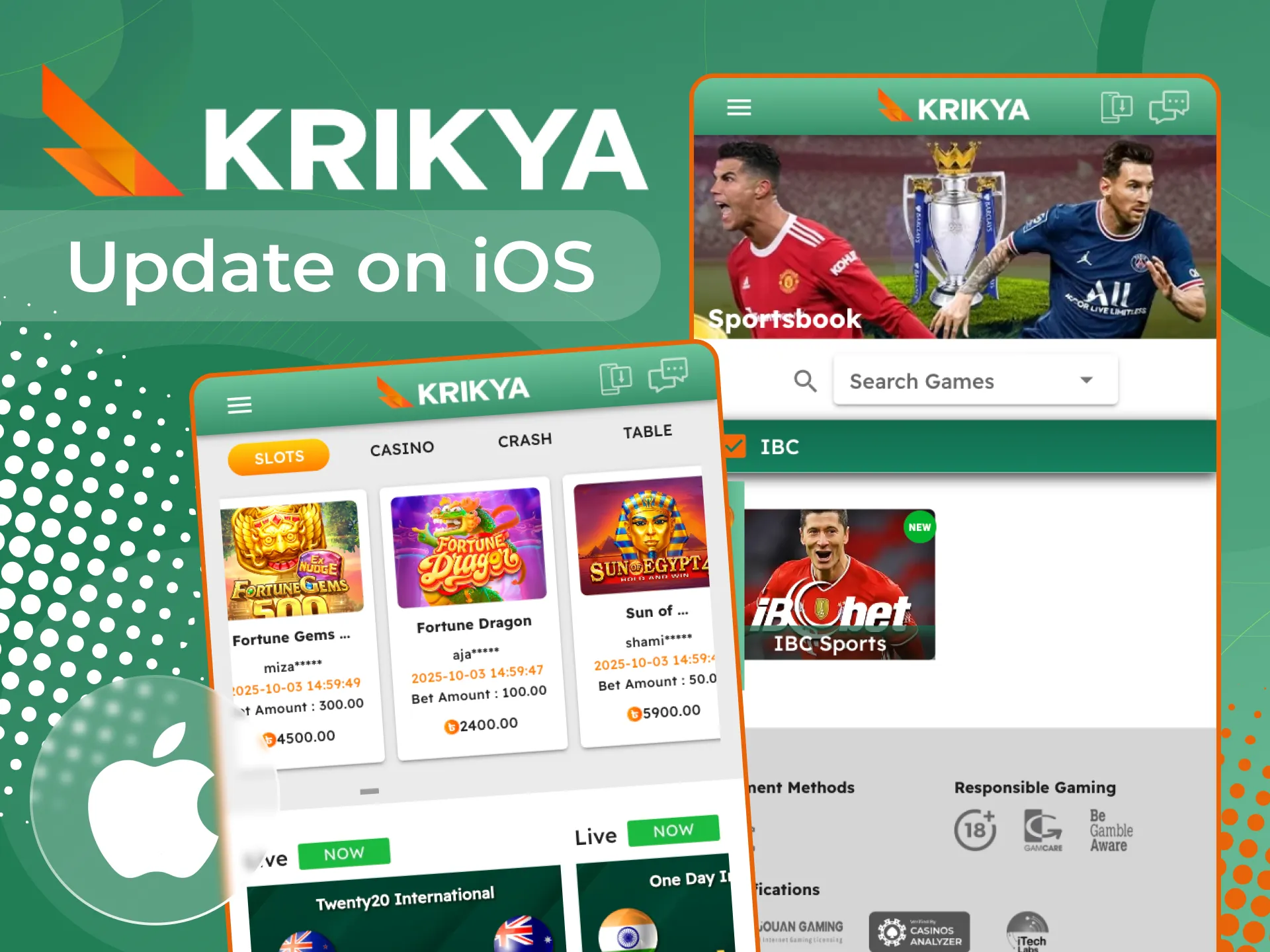 You don't need to update the Krikya online casino app on your iOS phone.